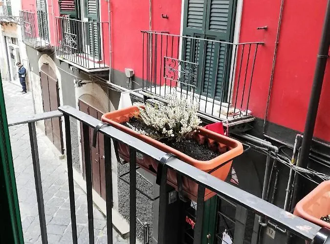 Il Sogno... לינה וארוחת בוקר